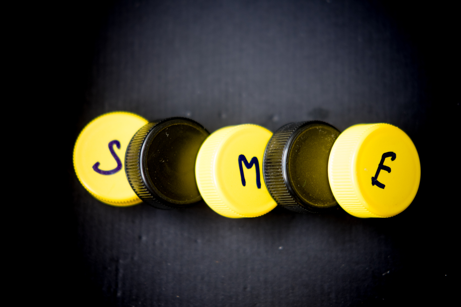 SME: Small Misunderstood Enterprises