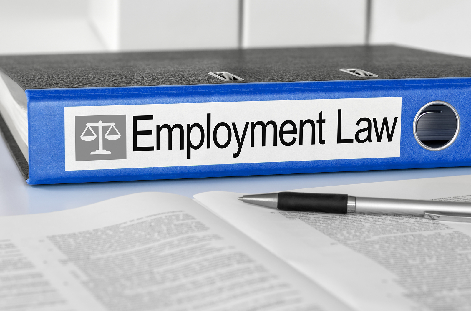 Key Bits of Employment Law