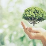 How Your Business Can Go Greener