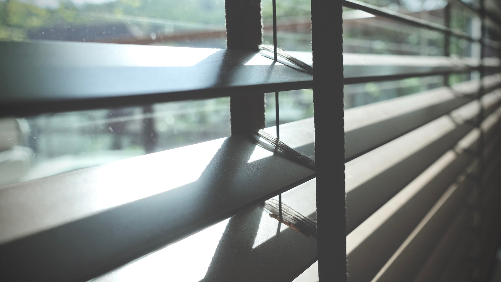 Natural Light in the Workplace