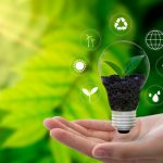 Become a Greener Business