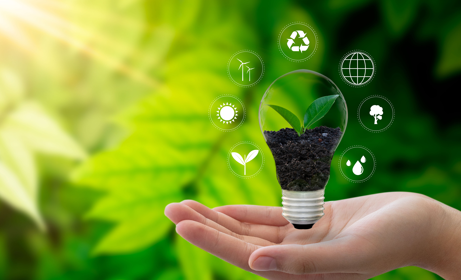 Become a Greener Business