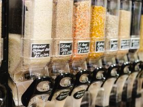 Taking the Next Steps for Business Sustainability