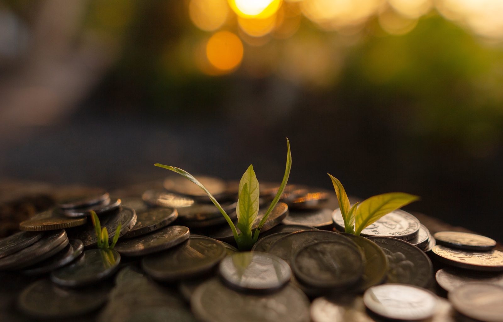 Saving and growing money