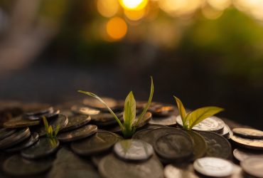 Saving and growing money